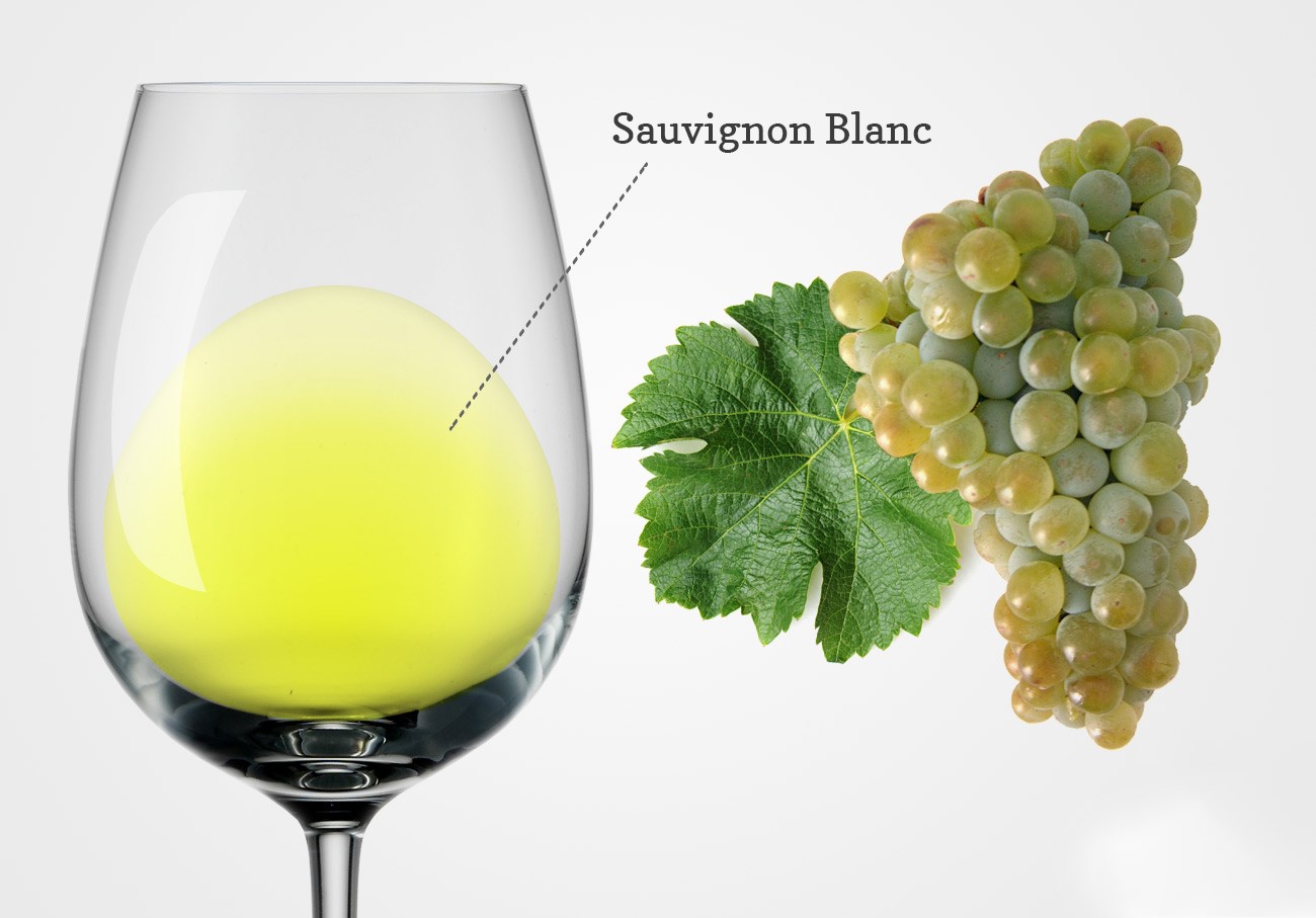 Nho Sauvignon Blanc làm rượu vang trắng